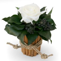 Kunstblumenstrauß Blumenstrauß Zimtbecher Infinity Rosen Blumengesteck, günstig online kaufen