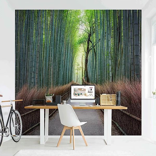 Fototapete Der Weg durch den Bambus günstig online kaufen