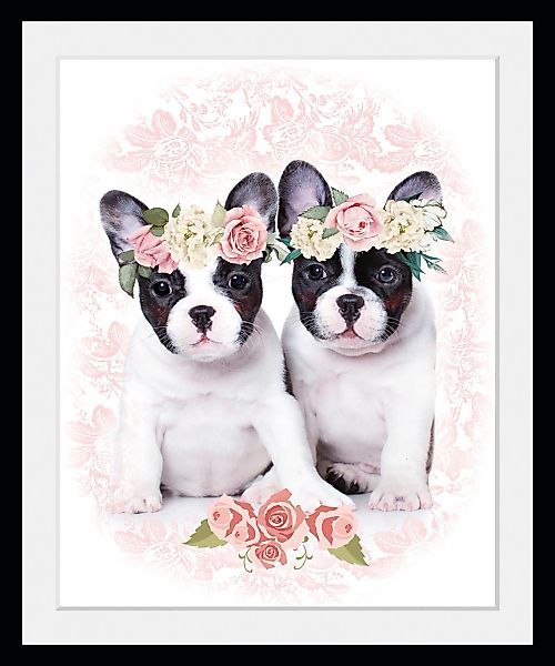 queence Bild »Frenchies«, (1 St.), HD Premium Poster-Druck inkl. Holzrahmen günstig online kaufen