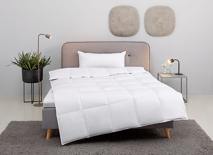 my home Daunenbettdecke + Kopfkissen Cavanelle günstig online kaufen