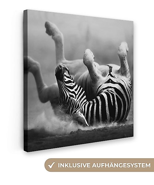 OneMillionCanvasses® Leinwandbild Zebra - Tiere - günstig online kaufen