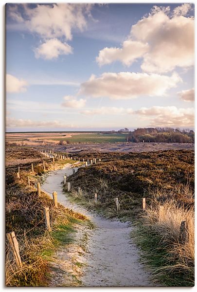 Artland Wandbild "Weg durch Naturschutzgebiet Morsum-Kliff" Felder 1 Stk. t günstig online kaufen