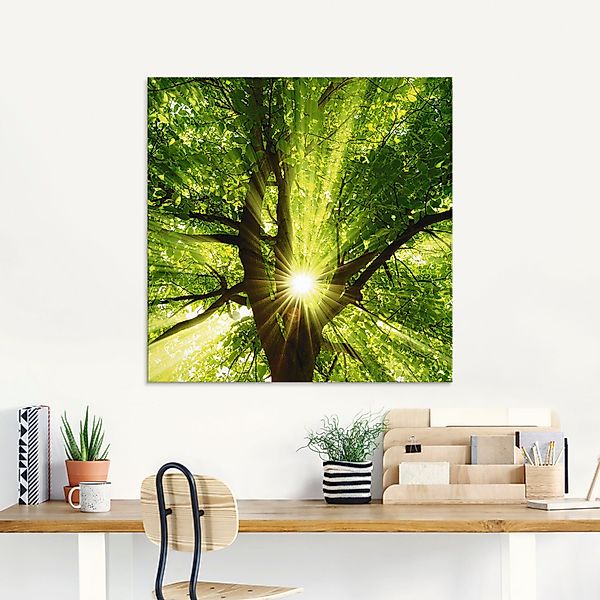 Artland Glasbild "Sonne strahlt explosiv durch den Baum" Bäume 1 Stk. tlg. günstig online kaufen