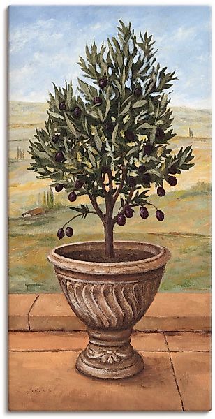 Artland Wandbild "Olivenbaum", Pflanzen, (1 St.) günstig online kaufen