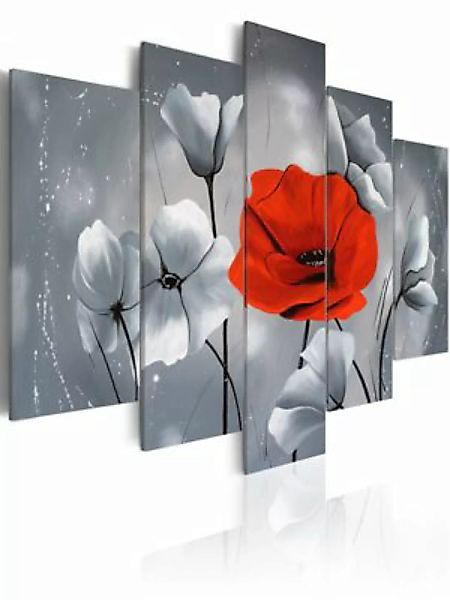 artgeist Wandbild Einzigartigkeit grau/rot Gr. 200 x 100 günstig online kaufen
