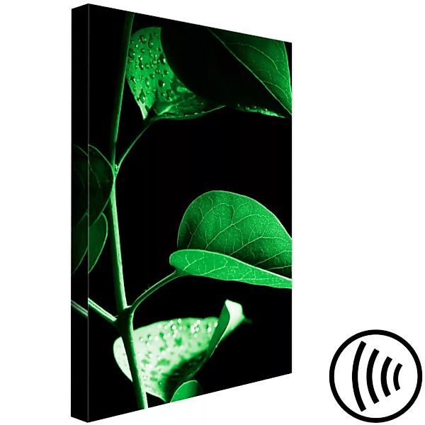Wandbild Plant in Black (1 Part) Vertical XXL günstig online kaufen