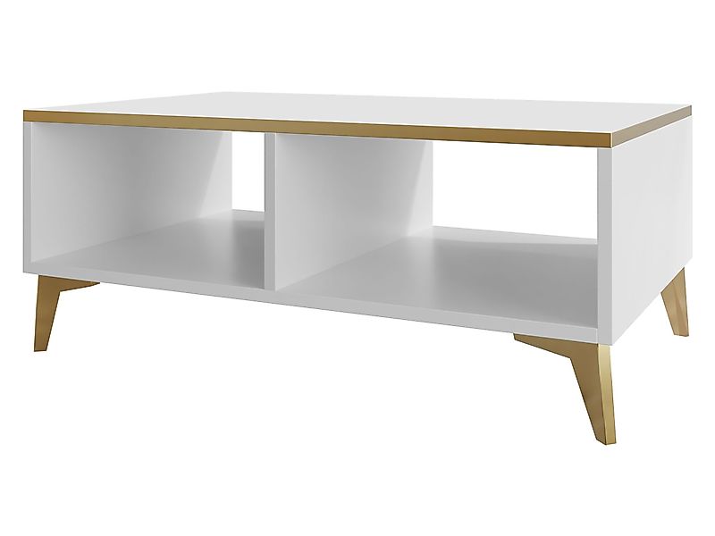 MIRJAN24 Couchtisch Aurora (mit Regal), 100x50x40 günstig online kaufen