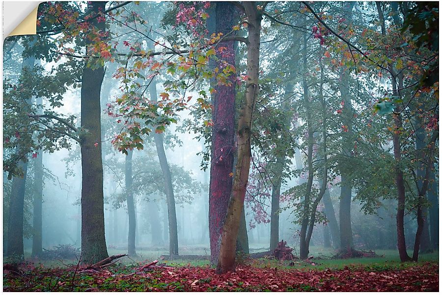 Artland Wandbild "Nebel im Wald", Waldbilder, (1 St.), als Alubild, Outdoor günstig online kaufen