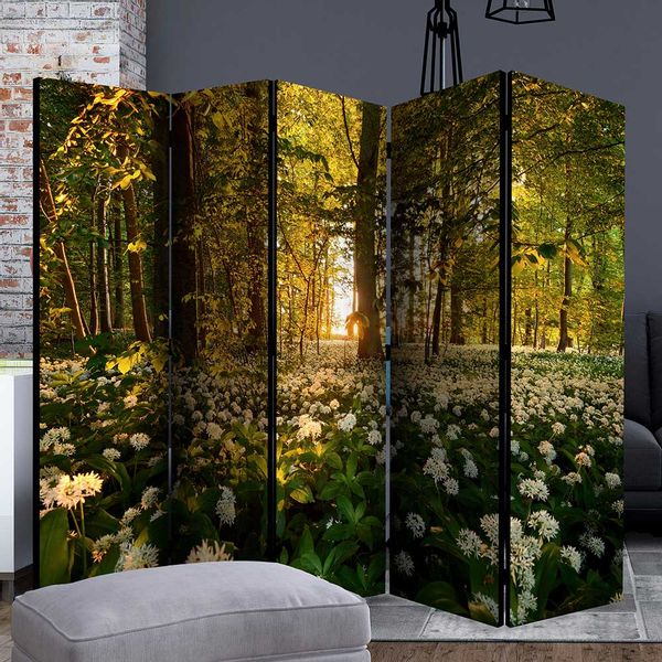 Blickdichter Paravent mit Fotoprint Waldwiese 3 oder 5 Elemente günstig online kaufen