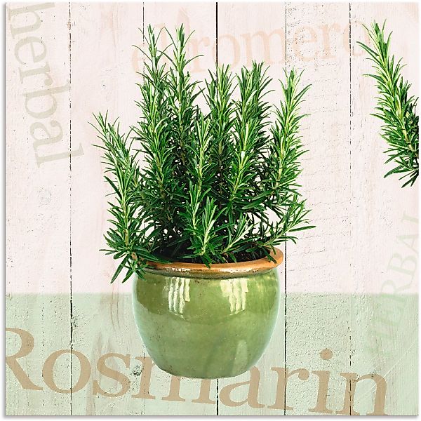 Artland Wandbild "Rosmarin", Pflanzen, (1 St.), als Alubild, Outdoorbild, L günstig online kaufen