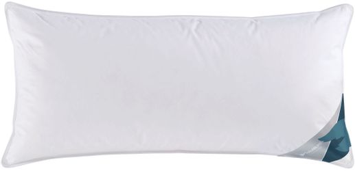 Haeussling Federkissen "Kuscheltraum Kissen medium, in 40x80 & 80x80 cm" Fü günstig online kaufen