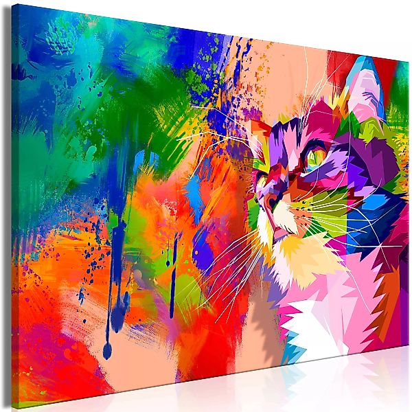 Wandbild - Colourful Cat (1 Part) Wide günstig online kaufen
