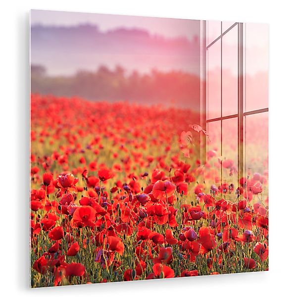 MuchoWow Acrylglasbild Blumen - Mohn - günstig online kaufen