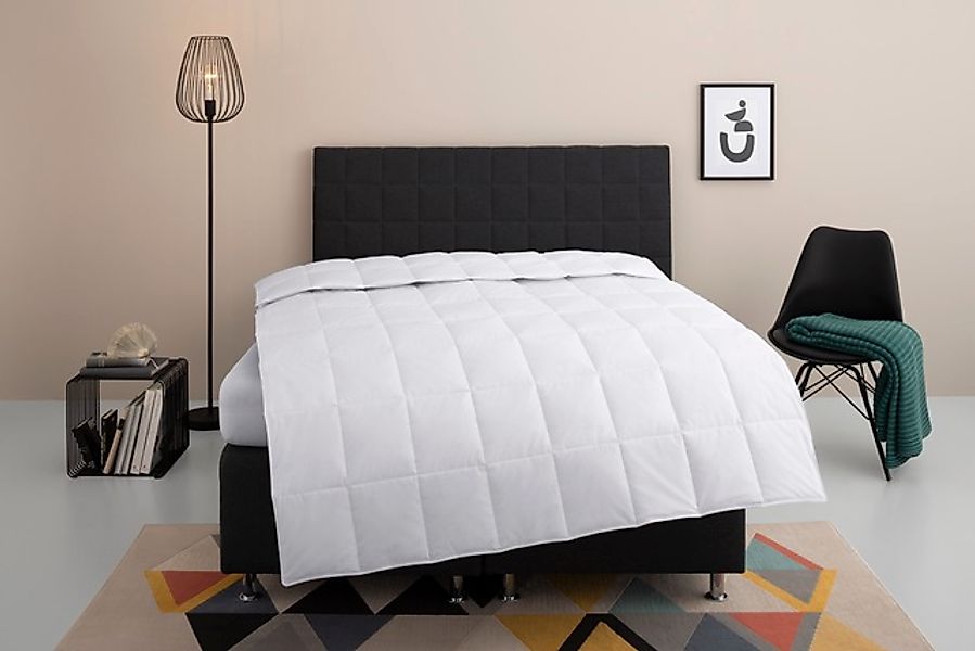 my home Daunenbettdecke "Nobyn, Bettdecke 135x200 cm und 155x220 cm" leicht günstig online kaufen