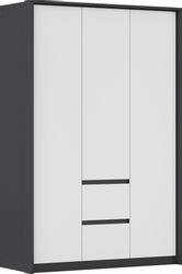 rauch Drehtürenschrank "Mainz mit Passepartout" optional mit Beleuchtung, A günstig online kaufen