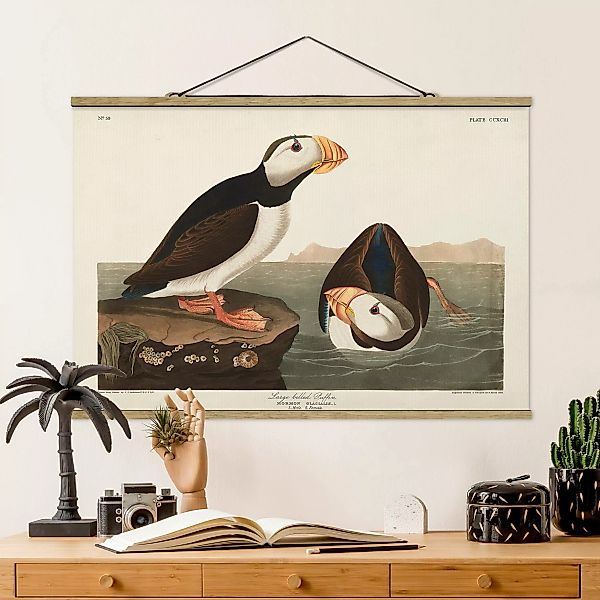 Stoffbild Strand mit Posterleisten - Querformat Vintage Lehrtafel Papageien günstig online kaufen