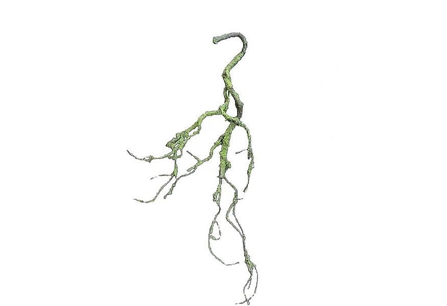 Kunstblume Moos Girlande Hellgrün 70 cm Kunstpflanze Flora Moos, HTI-Living günstig online kaufen