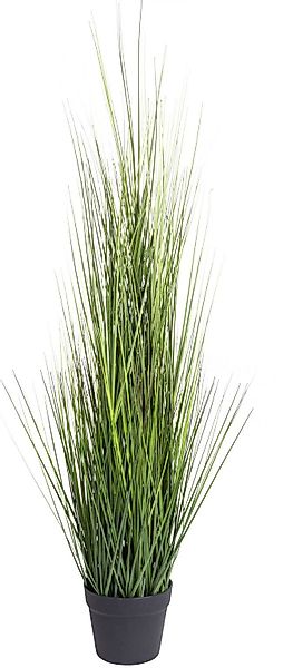 Kunstgras Gras Festuca Gras, Botanic-Haus, Höhe günstig online kaufen