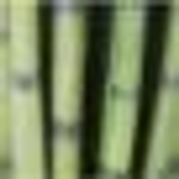 Kunstpflanze Sanseveria, Creativ green, Höhe 140 günstig online kaufen