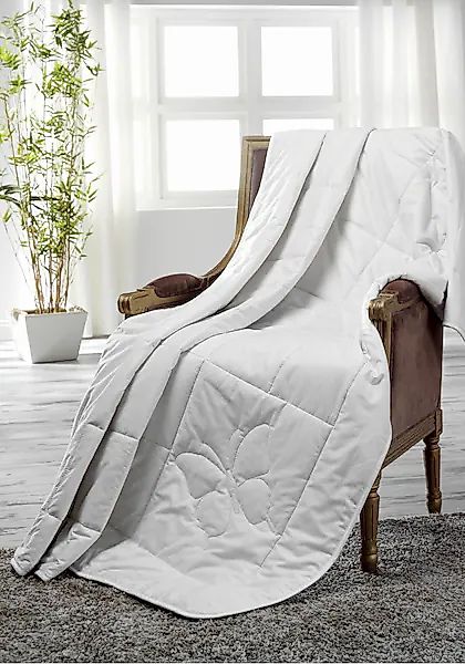 Dreams Naturfaserbettdecke »Classic«, leicht, Füllung 100% Seide, Bezug 100 günstig online kaufen