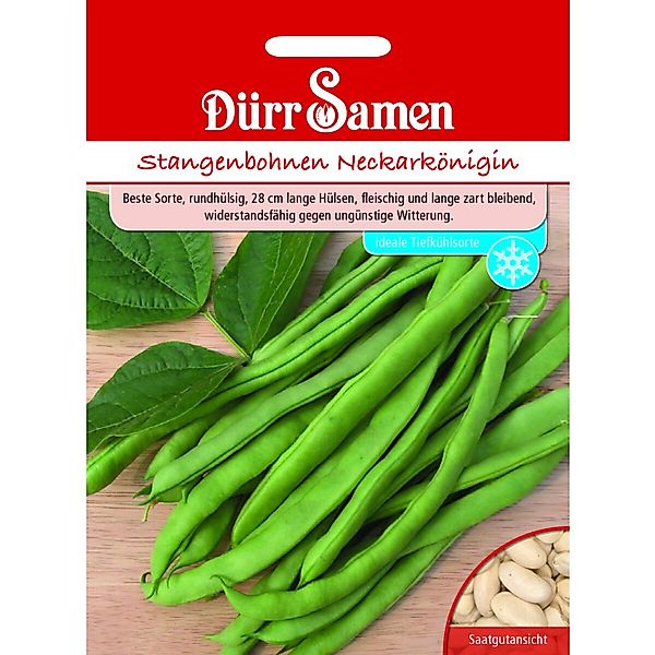 Dürr Samen Stangenbohnen Neckarkönigin Saatgut günstig online kaufen