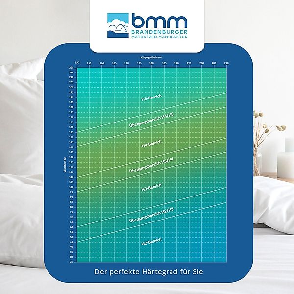 Taschenfederkernmatratze BMM Matratze Komfort 23 TFK, günstig online kaufen