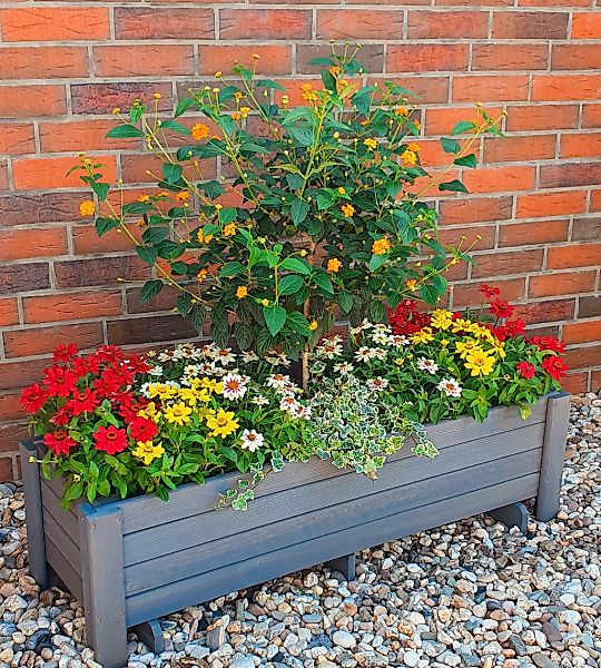promadino Balkonkasten "Romantica" BxTxH: 78x38x34 cm günstig online kaufen