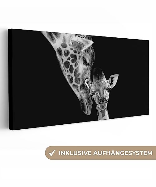 OneMillionCanvasses® Leinwandbild Panorama Porträt - Giraffe günstig online kaufen