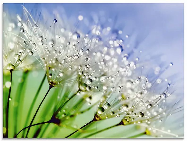 Artland Glasbild »Glitzernde Pusteblume« 1 Stk. tlg. in verschiedenen Größe günstig online kaufen