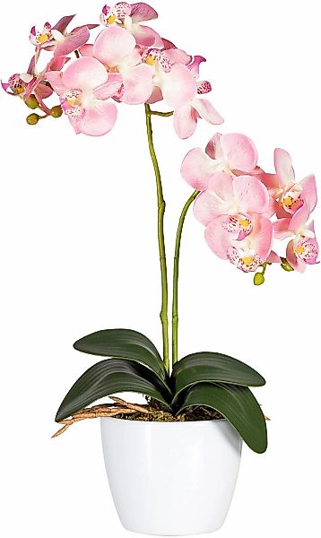 Kunstpflanze Phalaenopsis Orchidee, Creativ green, Höhe 50 cm günstig online kaufen