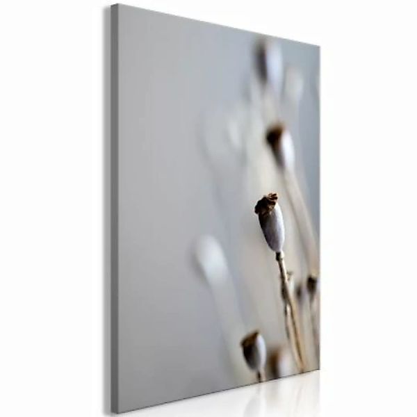 artgeist Wandbild Dried Poppies (1 Part) Vertical grau/braun Gr. 40 x 60 günstig online kaufen
