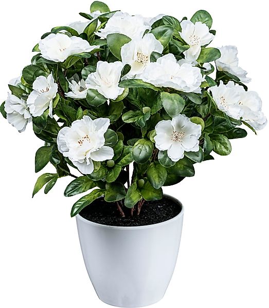 Kunstblume Azaleenbusch Azalee, Creativ green, Höhe günstig online kaufen