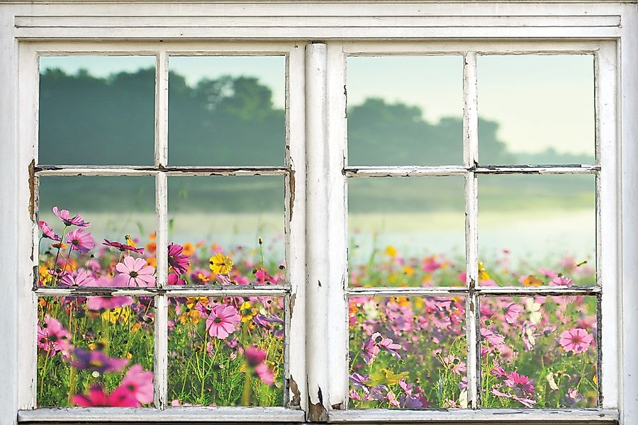 queence Leinwandbild »Blumenwiese«, Natur-Blumenwiese-Wiesen & Bäume-Fenste günstig online kaufen