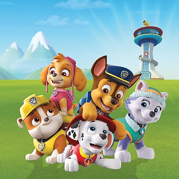 Bönninghoff Leinwandbild "Paw Patrol", Filmfiguren, (1 St.), BxH: 35x35 cm günstig online kaufen