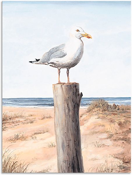 Artland "Möwe" Vögel 1 Stk. tlg. als Alubild, Leinwandbild, Poster in versc günstig online kaufen