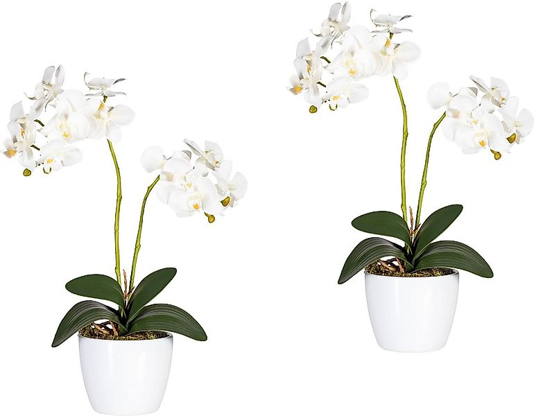 Kunstpflanze Phalaenopsis Orchidee, Creativ green, Höhe 50 cm günstig online kaufen