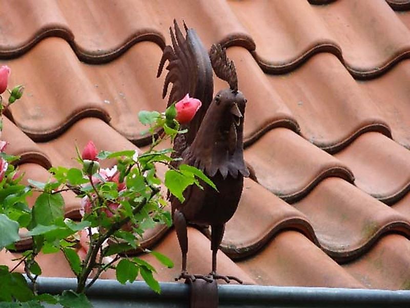 Westerholt Gartenfigur günstig online kaufen