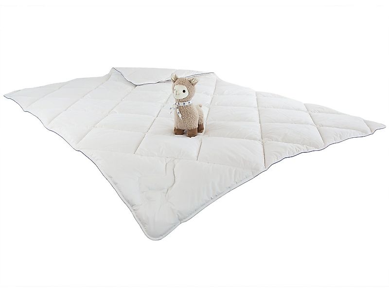 Irisette Naturhaarbettdecke Steppbett Irisette Alpaka + 1 Gratis Plüsch Alp günstig online kaufen