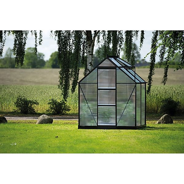 Halls Gewächshaus Icon 6 Schwarz 2,5 m² günstig online kaufen