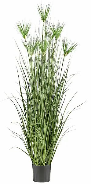 Creativ green Kunstgras »Zyperngras«, mit sieben Zyperngrasblüten günstig online kaufen