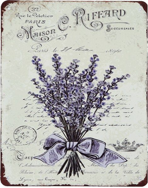 Ambiente Haus Metallbild "Metallbild - Lavendel" 1 Stk. tlg. günstig online kaufen