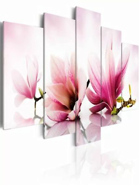 artgeist Wandbild magnolie mit großen blättern mehrfarbig Gr. 200 x 100 günstig online kaufen