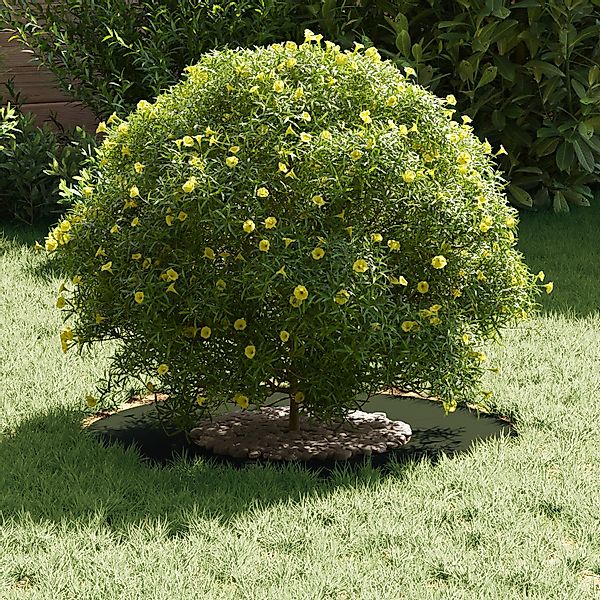 vidaXL Blumentopf Olivgrüner Pflanzkübel Olivgrün Kunststoff günstig online kaufen