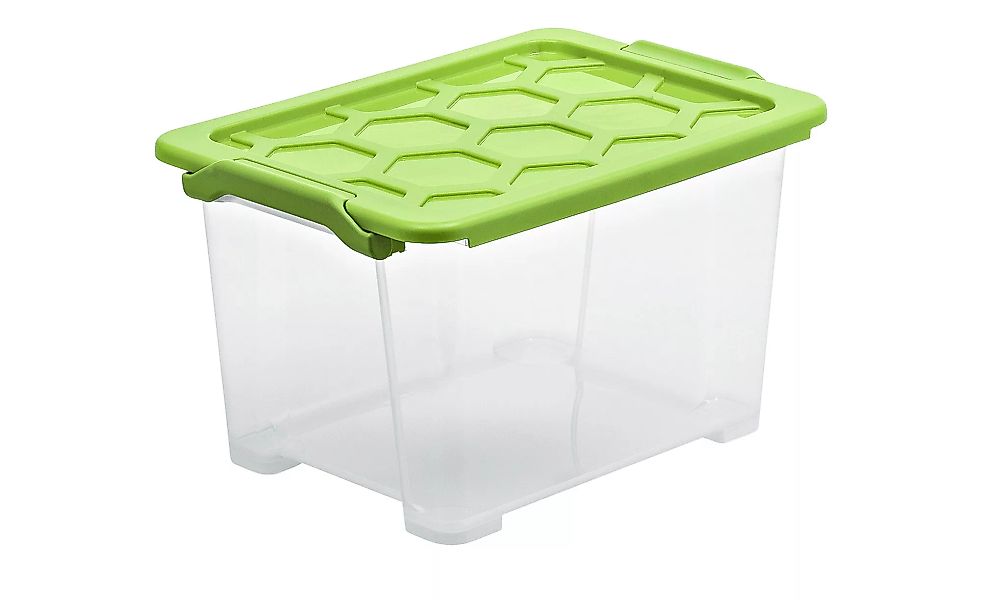 Rotho Aufbewahrungsbox mit Deckel - grün - Kunststoff - 28,3 cm - 23 cm - S günstig online kaufen