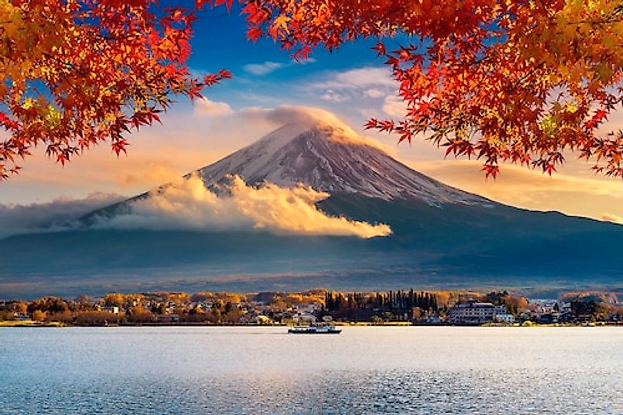 Papermoon Fototapete FUJI BERG-JAPAN GEBIRGE WALD günstig online kaufen