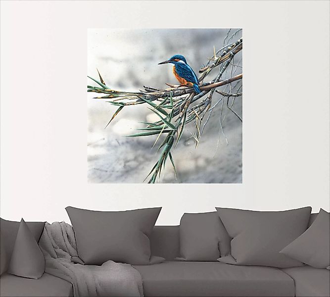 Artland Wandbild "Eisvogel I", Vögel, (1 St.), als Leinwandbild, Poster, Wa günstig online kaufen