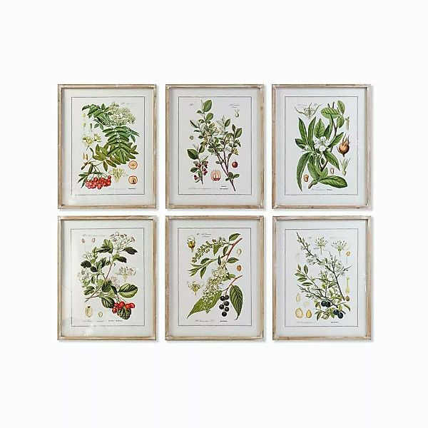 Bild Dkd Home Decor Botanische Pflanzen (55 X 2 X 70 Cm) (6 Stück) günstig online kaufen