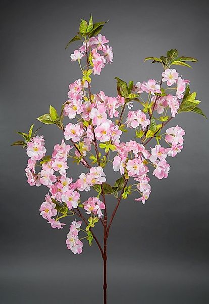 Kunstblume Kirschblütenzweig 105cm ZF künstliche Kirschblüte, Seidenblumen günstig online kaufen