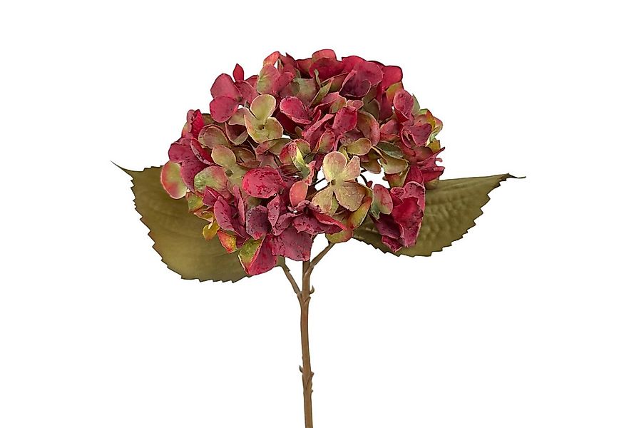 Kunstblume Kunstblume HORTENSIE 46 cm. In Trockenblumenoptik. Rot-Grün BUNT günstig online kaufen