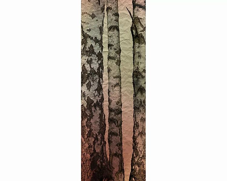 Dekopanel "Birkenstmme" 1,00x2,80 m / selbstklebende Folie günstig online kaufen
